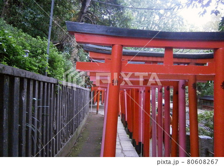 鳥居 鳥居 80608267