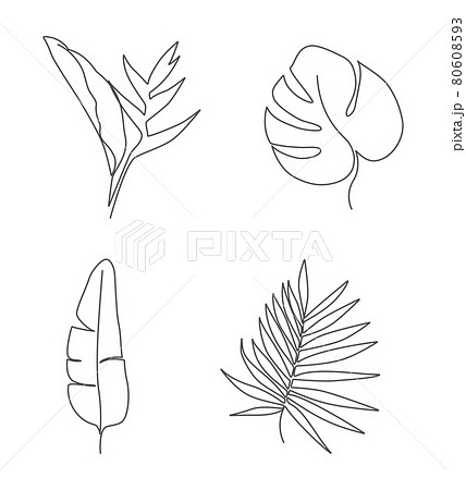 Linear tropical leaves_19 80608593