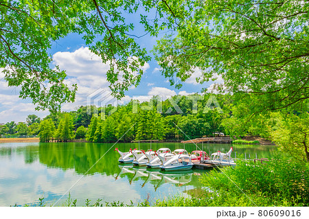 春日井市都市緑化植物園、愛称はグリーンピア春日井〈愛知県春日井市〉 80609016