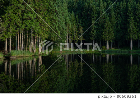 水面のリフレクションが美しい静かな森 水面のリフレクションが美しい静かな森 80609261
