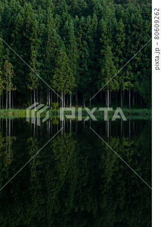 水面のリフレクションが美しい静かな森 80609262