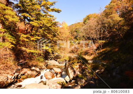 昇仙峡 紅葉 昇仙峡 紅葉 80610083