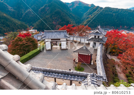 紅葉の郡上八幡城〈岐阜県郡上市〉 80610253