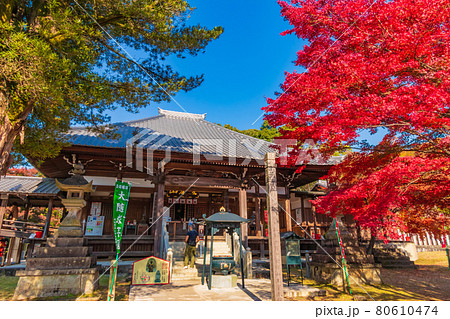 尾張のもみじ寺、秋の犬山寂光院〈愛知県犬山市〉 80610474