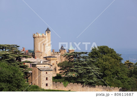 Castle of Montmelas in Beaujolais, France  80611687
