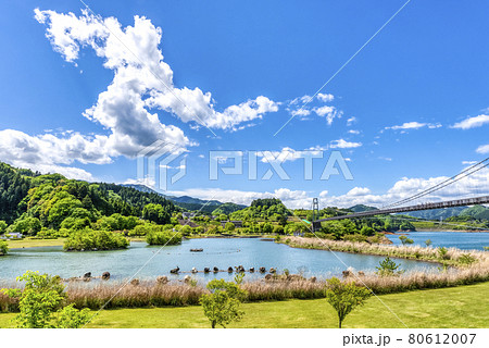春の宮ヶ瀬湖畔園地 神奈川県 春の宮ヶ瀬湖畔園地 神奈川県 80612007