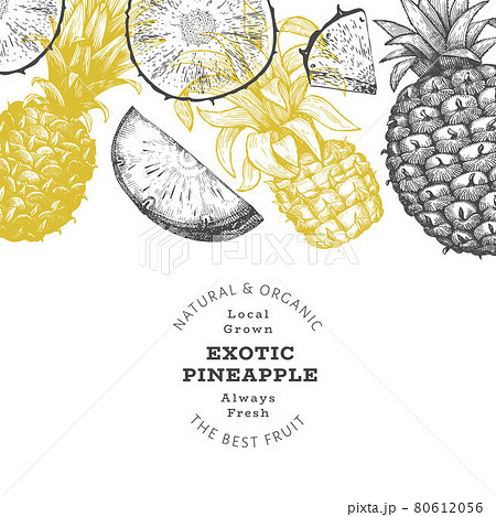 Hand drawn sketch style pineapple banner. Organic fresh fruit vector illustration. Engraved style botanical design template. Hand drawn sketch style pineapple banner. Organic fresh fruit vector illustration. Engraved style botanical design template. 80612056