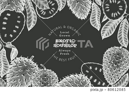 Hand drawn sketch style soursop fruit banner. Organic fresh fruit vector illustration on chalk board. Retro guanabana design template 80612085