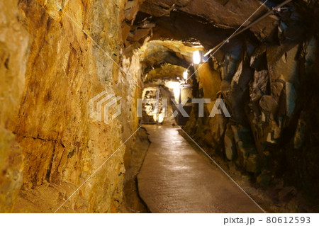 多田銀銅山／青木間歩（兵庫県猪名川町） 80612593