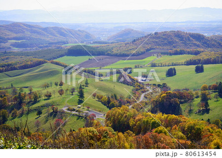 北海道、秋の丘 80613454