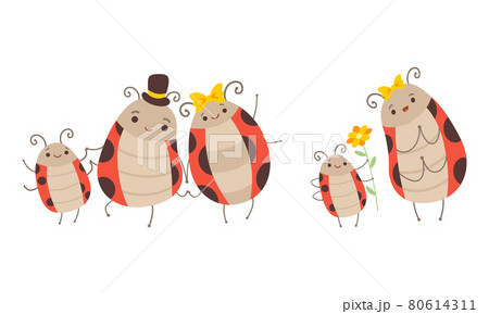 Ladybug Families Set, Cheerful Mom, Dad and their Babies Cartoon Vector Illustration 80614311