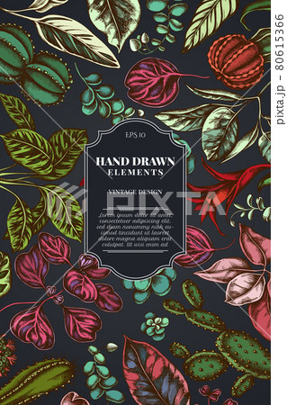 Card design on dark background with ficus, iresine, kalanchoe, calathea, guzmania, cactus 80615366