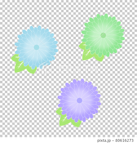 酷菊花圖標集 80616273
