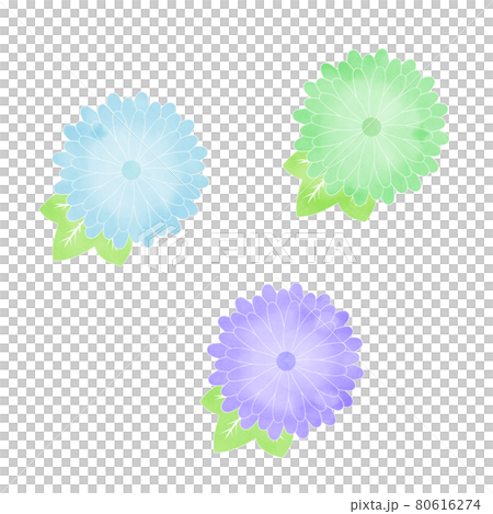 水彩風格冷色菊花圖標集 80616274