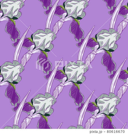 Floral seamless pattern with hand drawn creative iris flowers ornament. Purple colored botanic artwork. 80616670
