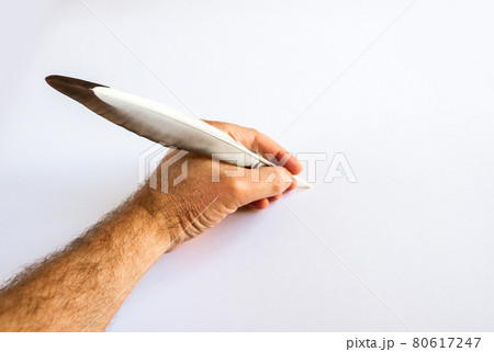 hand writing with a bird feather hand writing with a bird feather 80617247