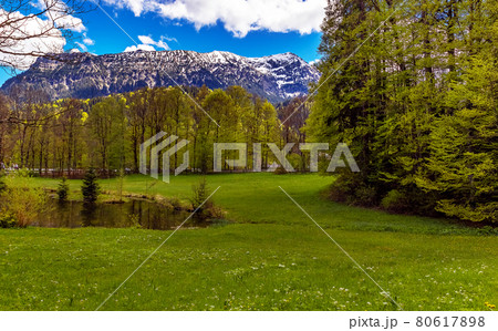landscape with trees and sky, in the park linderhof, Bavaria, Germany 80617898