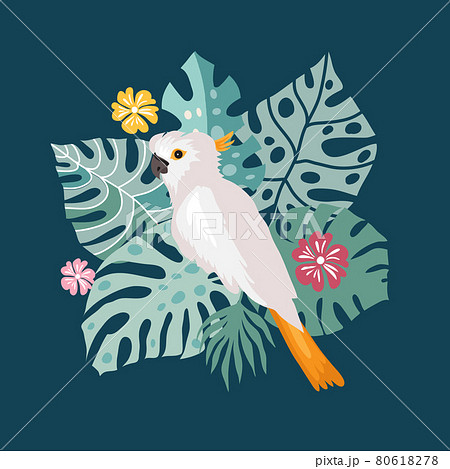 Parrot and leaves 9 80618278