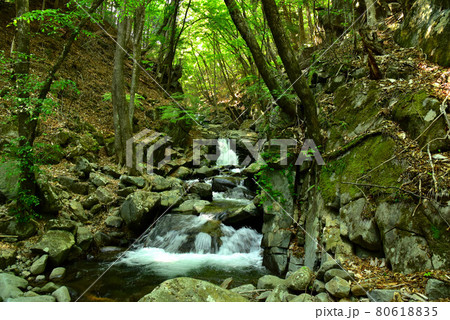 新緑の徳和渓谷 80618835