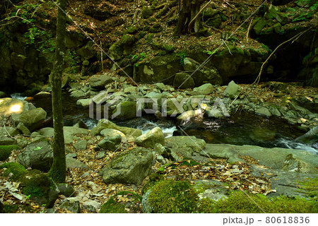 新緑の徳和渓谷 80618836