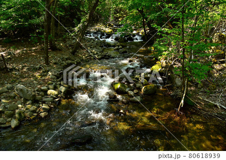 新緑の徳和渓谷 80618939