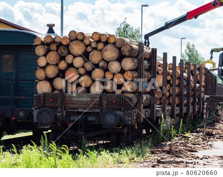Crane loading cut logs on a railcar. Crane loading cut logs on a railcar. 80620660