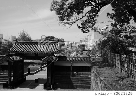 モノクロ　丸亀城 80621229