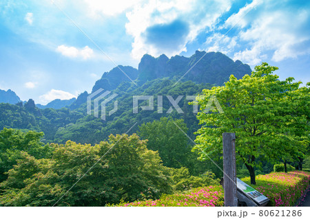 妙義山　初夏の陽気　　妙義ふるさと美術館付近からの景色　　　　　　 80621286
