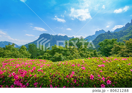 妙義山 初夏の陽気 妙義ふるさと美術館付近からの景色 妙義山 初夏の陽気 妙義ふるさと美術館付近からの景色 80621288