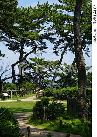 茨城県北茨城市大津町の茨城大学五浦美術文化研究所の天心邸周辺の風景 80622287