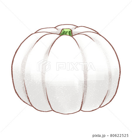 かぼちゃ(白)のイラスト素材 [80622525] - PIXTA