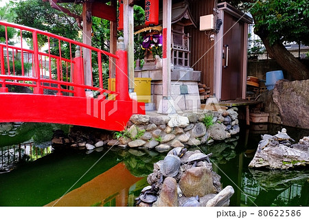 赤羽 亀ヶ池弁財天 80622586