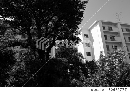 閉鎖された団地 閉鎖された団地 80622777