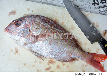 鯛のうろこ落とし 80623115