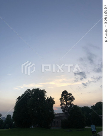 The setting sun behind trees 80623667