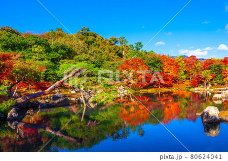 天龍寺 曹源池庭園と紅葉 80624041