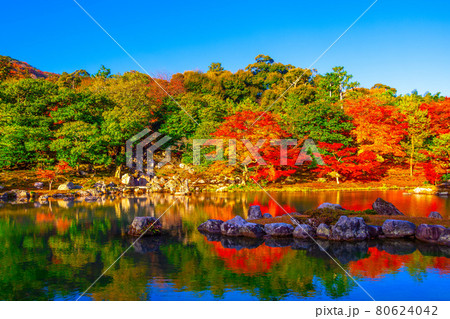 天龍寺 曹源池庭園と紅葉 80624042