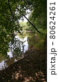 in the forest on the banks of a small river on a sunny summer day 80624261
