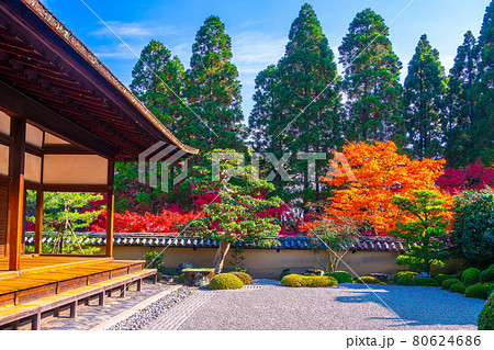 一休寺の方丈庭園と紅葉 80624686
