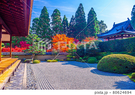 一休寺の方丈庭園と紅葉 80624694
