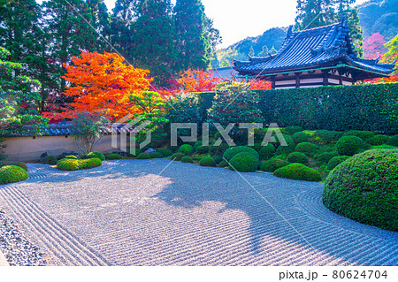一休寺の方丈庭園と紅葉 一休寺の方丈庭園と紅葉 80624704