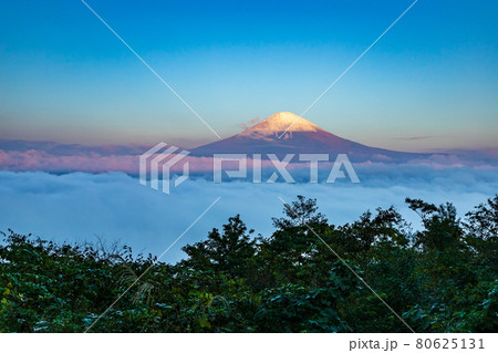 静岡県御殿場市から眺める夜明けの富士山 80625131