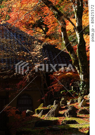 滋賀・永源寺の紅葉と枯山水庭園 滋賀・永源寺の紅葉と枯山水庭園 80625572