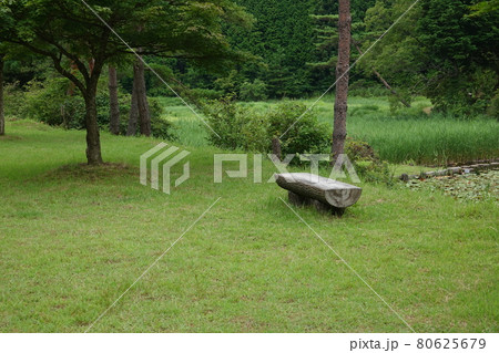 黒沢湿原のベンチ 黒沢湿原のベンチ 80625679