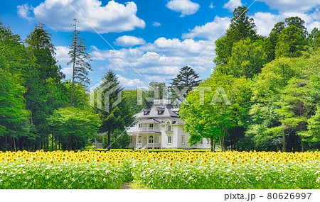 夏の那須・黒磯、道の駅・明治の森の青木邸とひまわり 夏の那須・黒磯、道の駅・明治の森の青木邸とひまわり 80626997