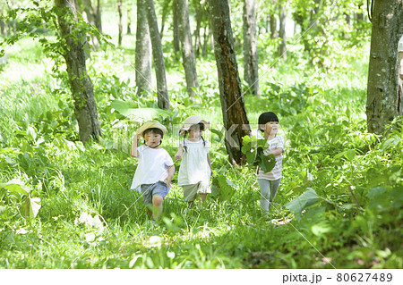 森で遊ぶ子どもたち 80627489