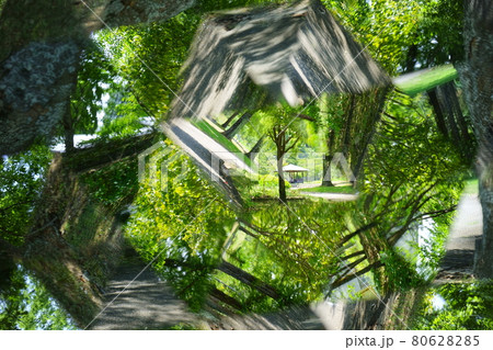 夏の公園をテレイドスコープで覗く6 80628285