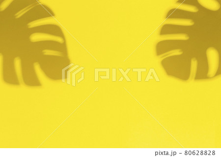 Shadow of tropical leaves and plants on a colored background. Minimal concept Shadow of tropical leaves and plants on a colored background. Minimal concept 80628828