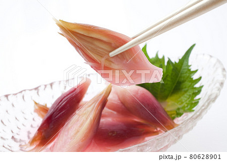 ミョウガの甘酢漬け 80628901