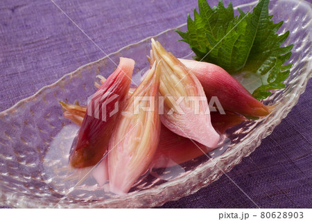 ミョウガの甘酢漬け ミョウガの甘酢漬け 80628903